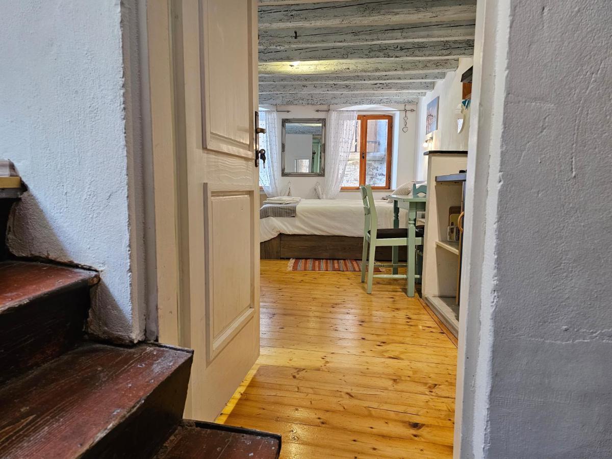 Studio Victory In Center Apartment *